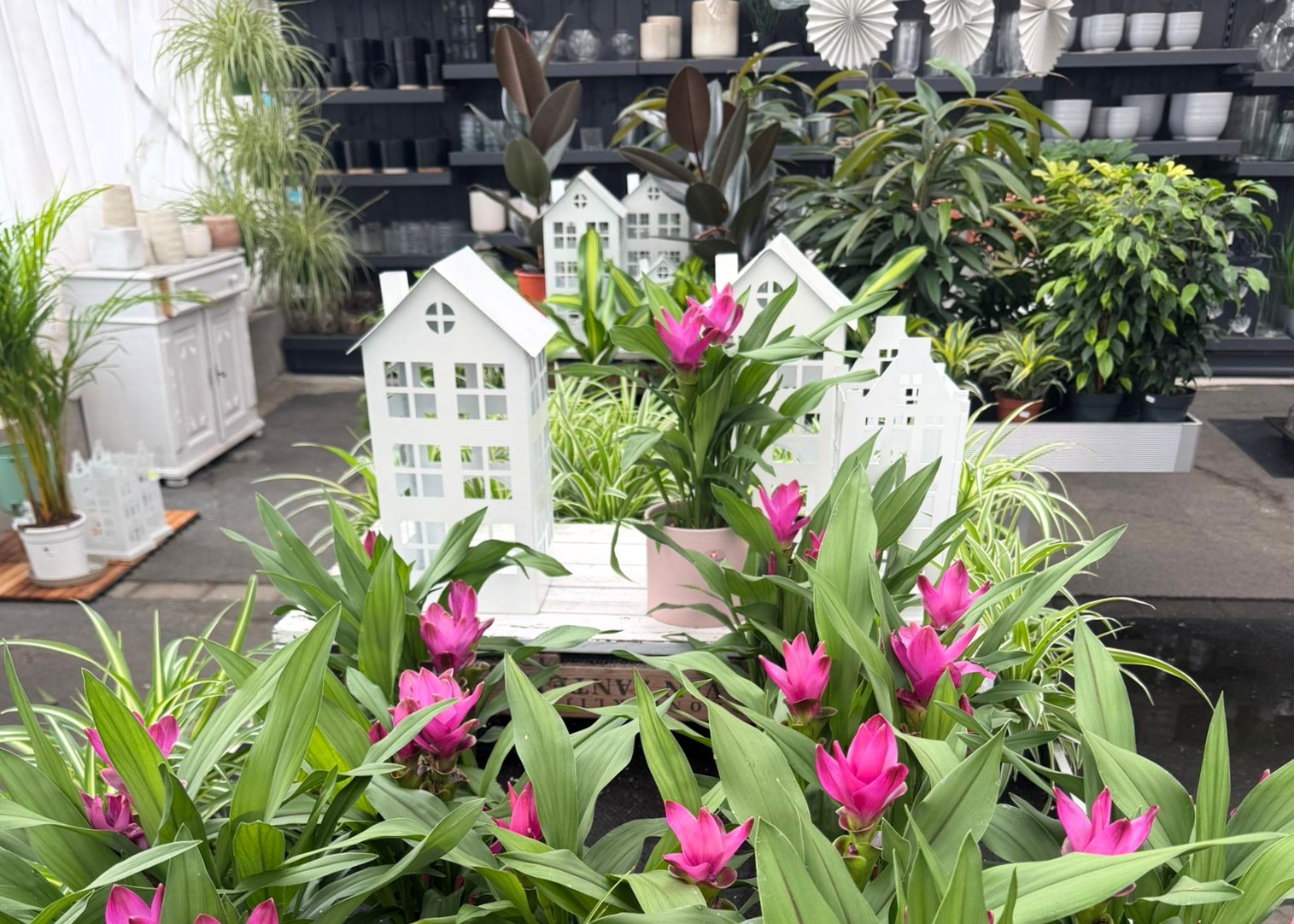 Monheimer Blumenmarkt